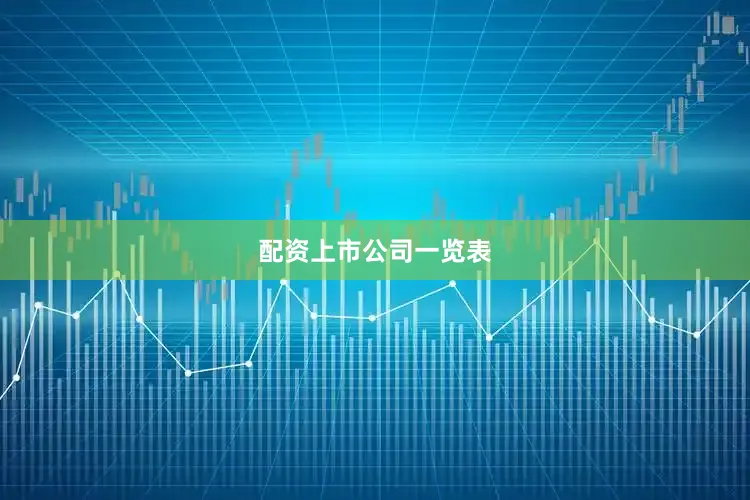 配资上市公司一览表