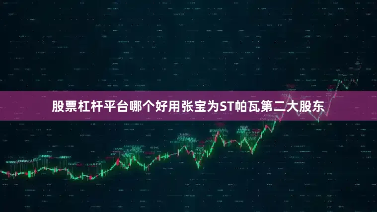 股票杠杆平台哪个好用张宝为ST帕瓦第二大股东