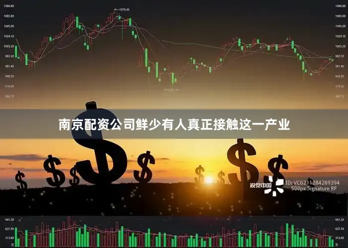 南京配资公司鲜少有人真正接触这一产业