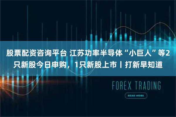 股票配资咨询平台 江苏功率半导体“小巨人”等2只新股今日申购，1只新股上市丨打新早知道