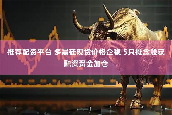 推荐配资平台 多晶硅现货价格企稳 5只概念股获融资资金加仓