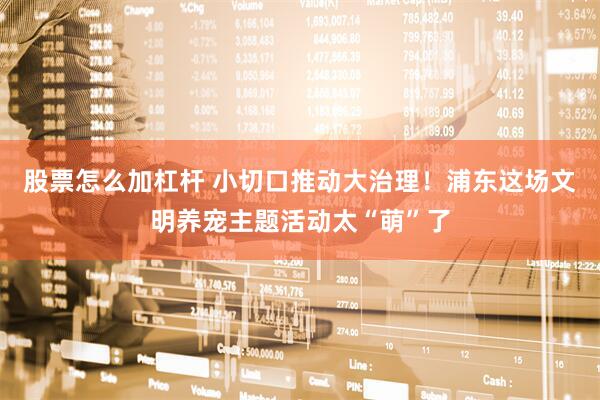 股票怎么加杠杆 小切口推动大治理！浦东这场文明养宠主题活动太“萌”了